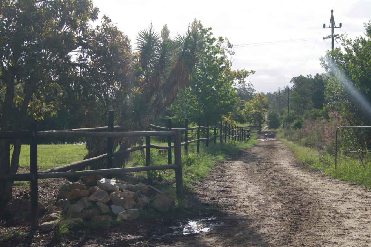 Buffelsdam Country House Kurland Buitenkant foto