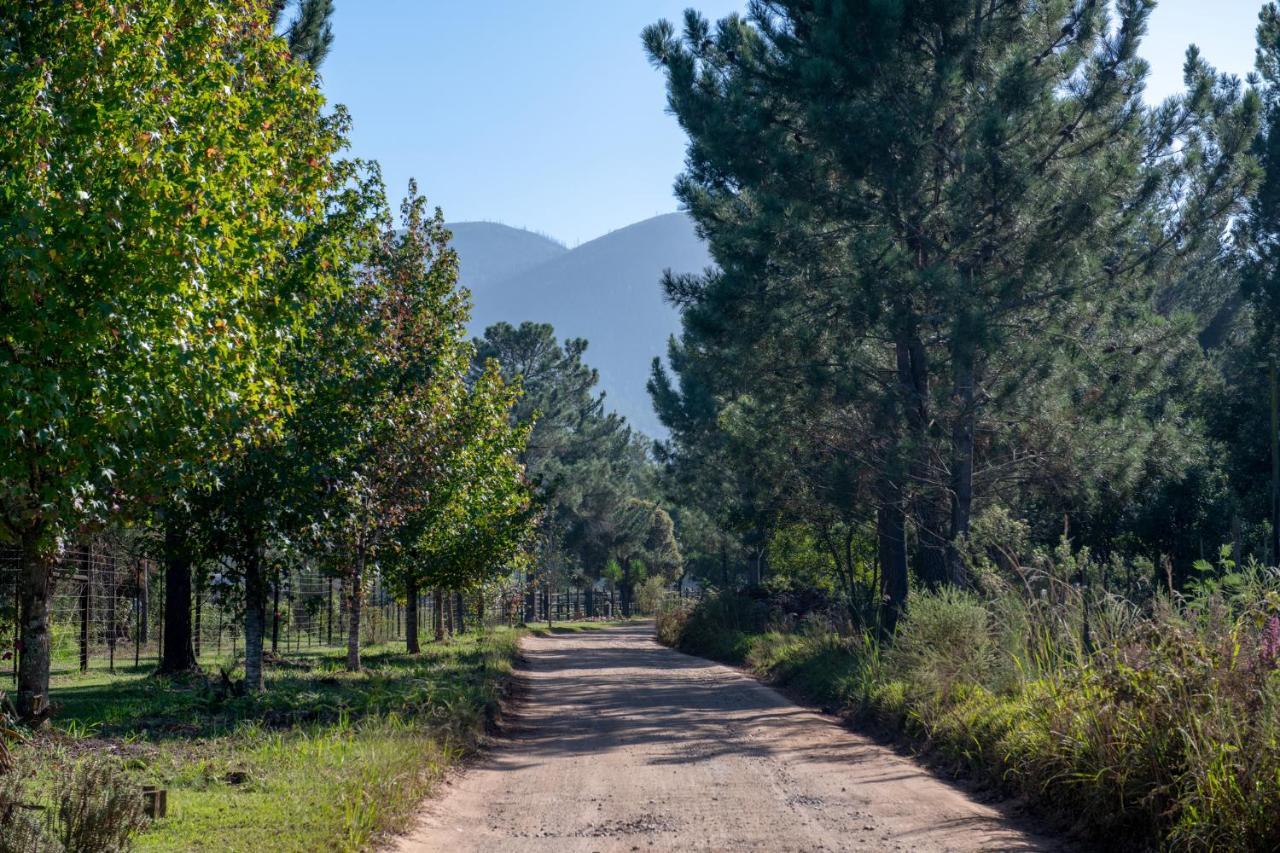 Buffelsdam Country House Kurland Buitenkant foto